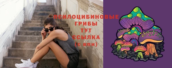 PSILOCYBIN Волосово