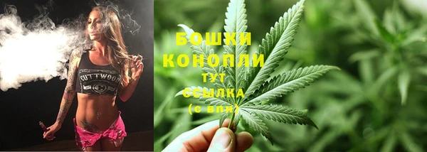 PSILOCYBIN Волосово