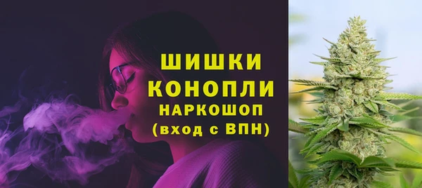 PSILOCYBIN Волосово