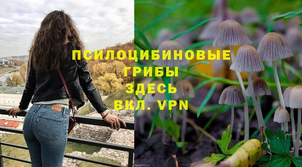 PSILOCYBIN Волосово