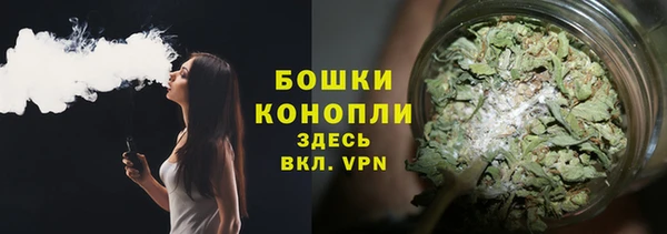 твердый Пересвет