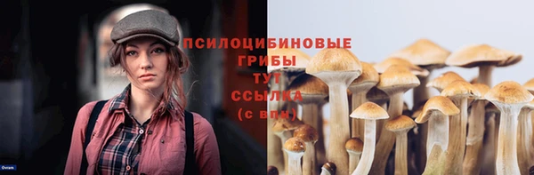 PSILOCYBIN Волосово