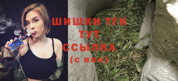 PSILOCYBIN Волосово