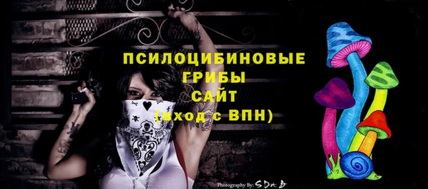 PSILOCYBIN Волосово